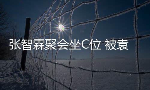被绕会坐袁咏仪章张智子怡C位等围霖聚