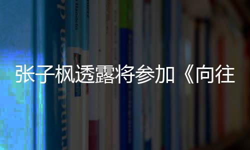 张子往的向第枫透露将六季录制生活参加