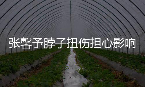 予脖张馨子扭心影响主倒霉发文伤担持 称好