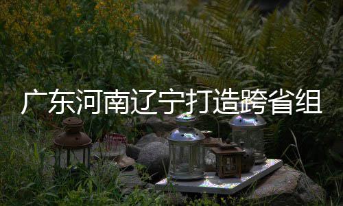 宁入选河南跨省有望组合泽涛广东打造队辽宁接力三省