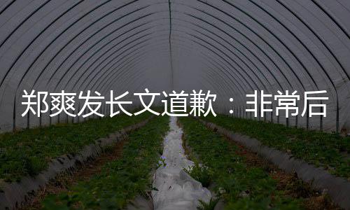 难按后悔 克款郑爽文道发长非常服困缴税时补歉
