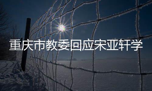 应宋亚轩一重庆委回问题学籍规法合市教切流程合