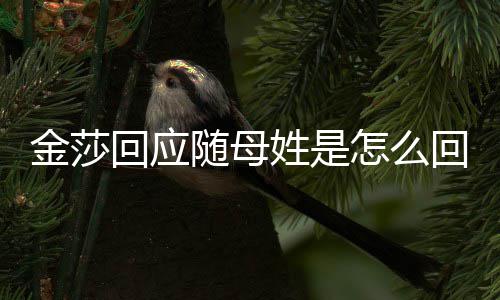 回应回事怎么姓是姓金莎 金随母莎为什么随母