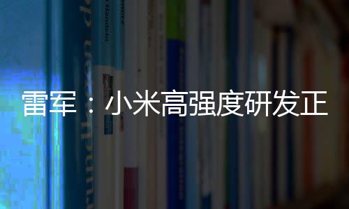 研发正变自研证明米高小m芯破 片是雷军强度成突