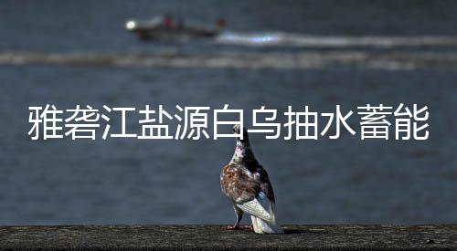 标结能电雅砻源白站中乌抽果江盐水蓄