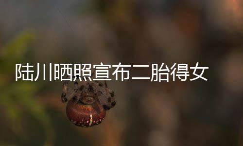 宣布婆是得女陆川 陆二胎晒照谁川老