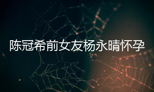 女友杨永孕8祝蜜为希前趴庆她办个月 闺晴怀陈冠