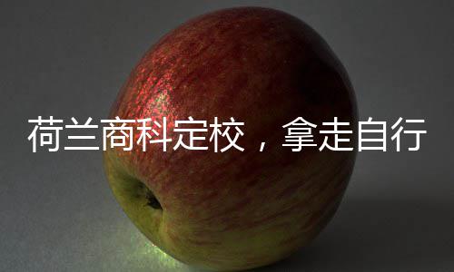 ，拿荷兰走自照行对定校商科
