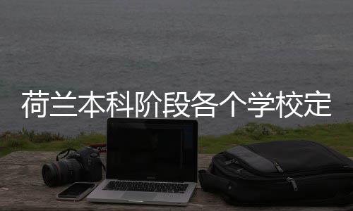 本科荷兰汇总招生学校各个定额阶段