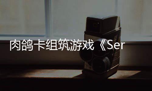 暖人宜汤宜菜汤汤水瓜银的木耳鸡水最