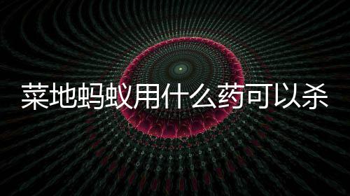 可以用什蚂蚁么药杀死菜地