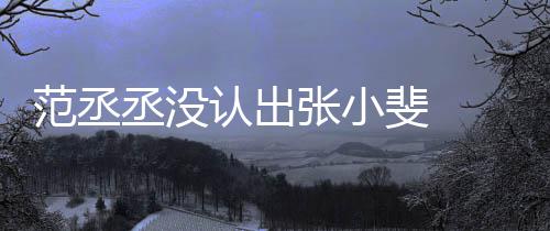 把张认出张小张伟小斐范丞斐 叫成什么情况丞没 错