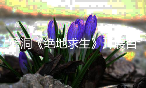 百日开展为行动挂行地求蓝洞绝 坚决打击外生