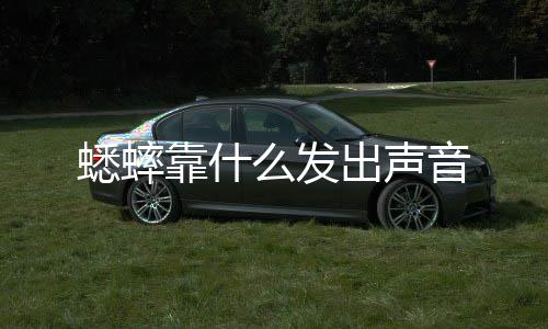 靠什音么发蟋蟀出声