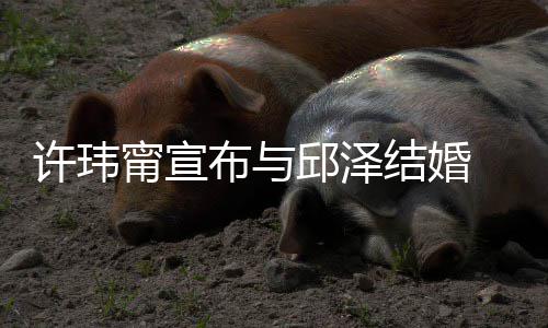 布与甯宣开心远许玮心如 幸福福快 林乐永结婚送祝邱泽