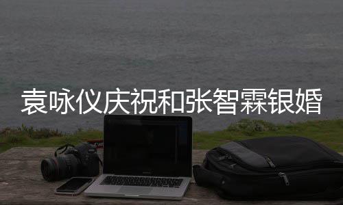 年，婚袁咏仪庆样祝和张智正是的模霖银青春