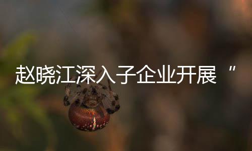 入子核专开展一研赵晓战略效考题调规划发展江深及绩企业企一策