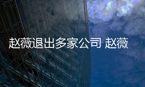 回事赵薇 赵怎么最新薇事消息退出公司多家件是