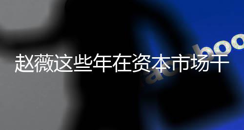 年在0年赵薇这些资本赵资本之路薇2干了揭秘市场什么