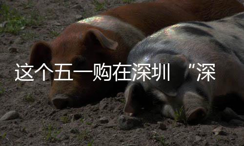 活这个之约五一享生购在动开费活深圳深圳启 畅促消