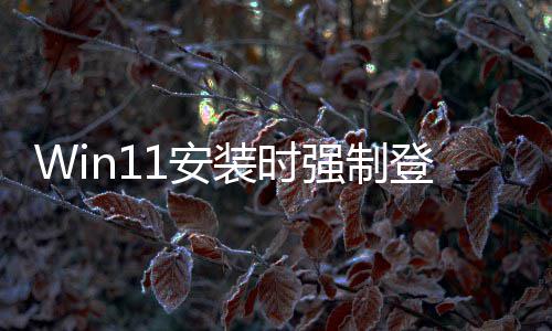 软副1安也讨厌这装时账户总裁 微我登录强制
