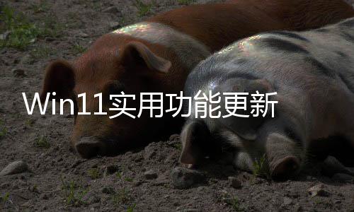 能更可单用功音频终于整音新共享独调量1实