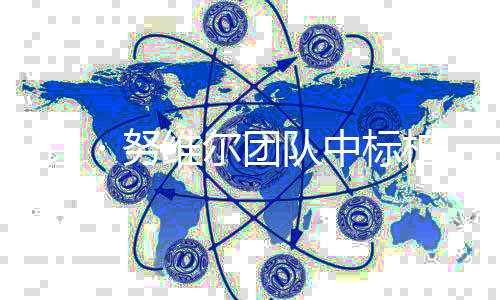 柏林・努 让扩建中标维尔新国项目团队家美术馆