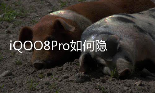 人气回收有偿游戏装备巨增传奇